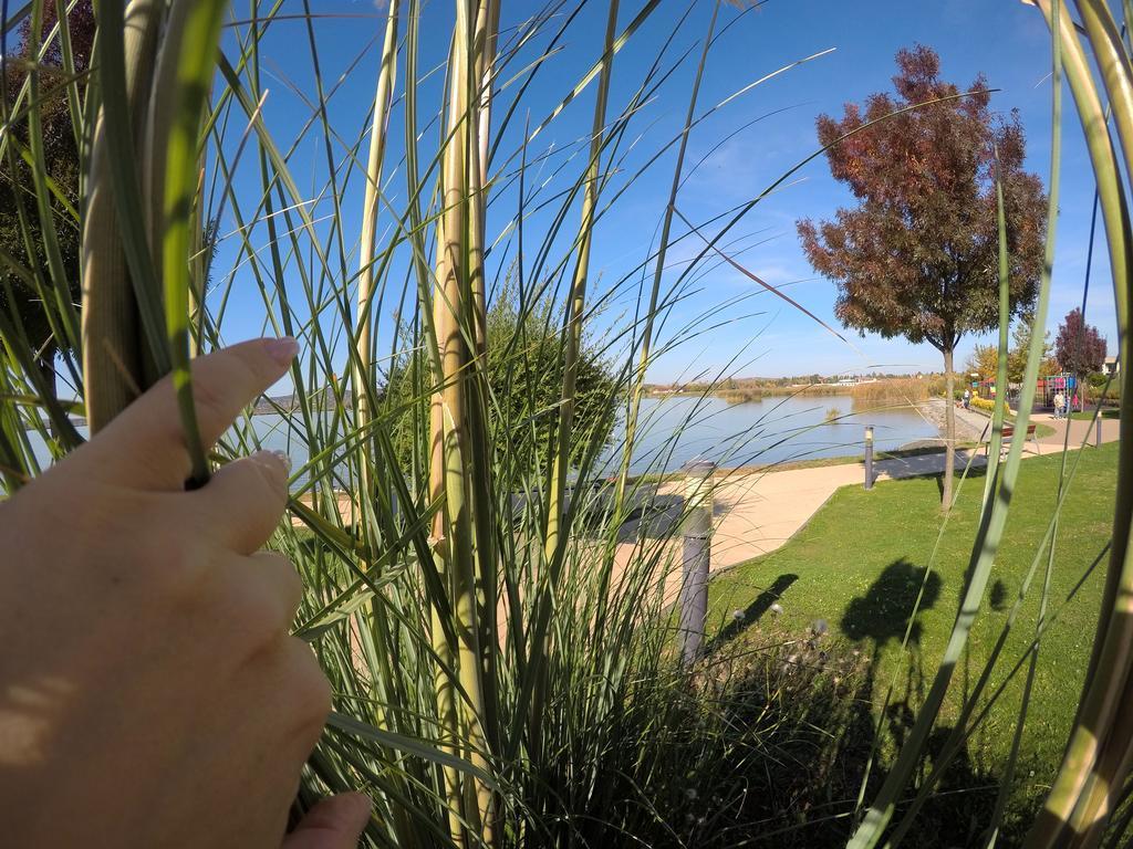 Lake And Spa Apartman Velence Εξωτερικό φωτογραφία